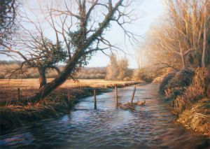 Meon River in Winter