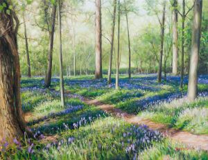 Bluebell Wood near Soberton