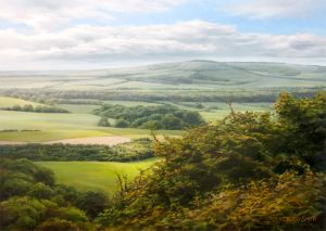 Meon Valley Light