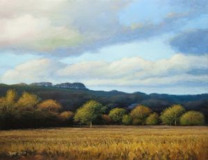St. Clair's Meadow