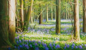 Bluebells at Upperford Copse