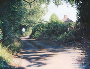 Cut Throat Lane, Swanmore