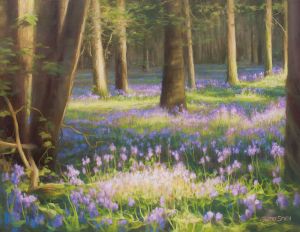 Bluebell Wood