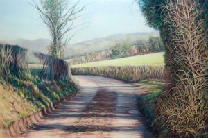 Winter sunshine, Mayhill Lane